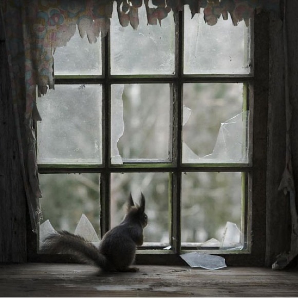 Please Feel Free to Send Me An Offer 🐿️ - Picture 1 of 6